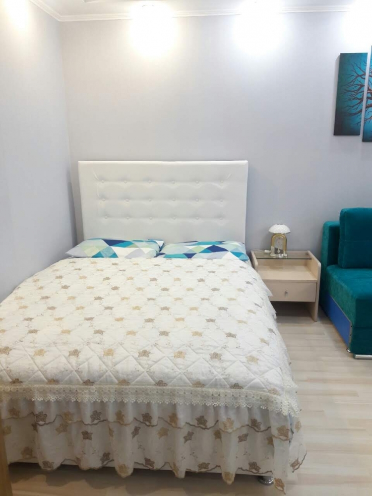  1-комнатная квартира в центре Киева #5