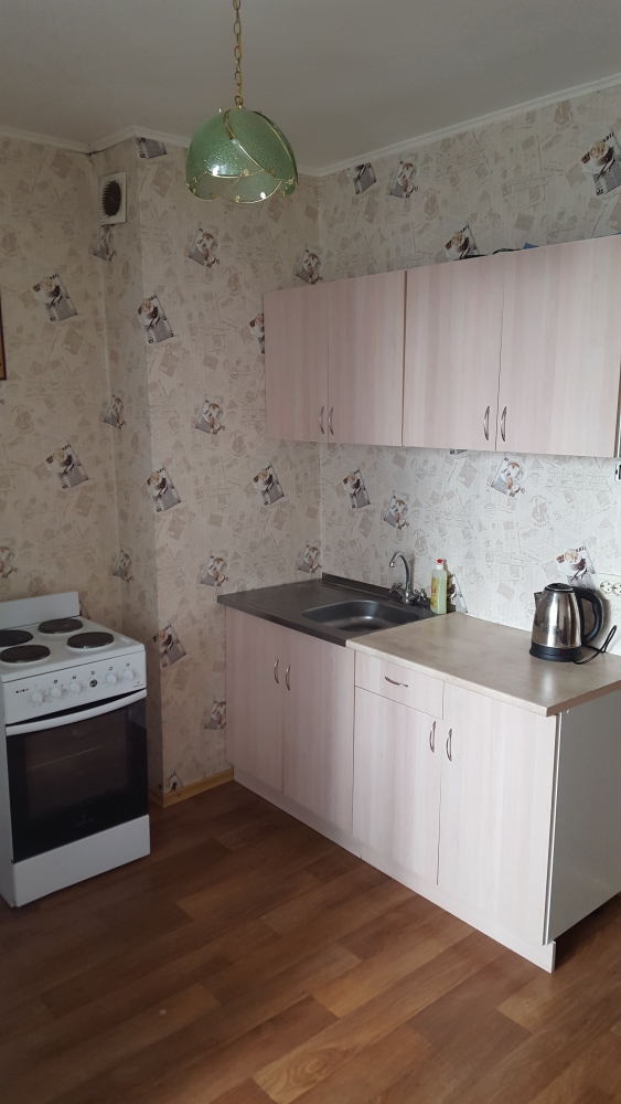 1-комнатная квартира в новострое #3