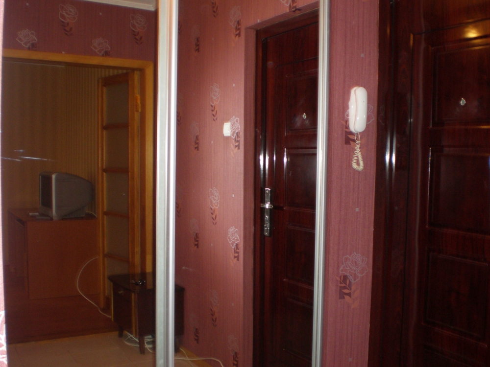 Хозяйка сдаст почасово, посуточно 1к. кв. на Новых... #3