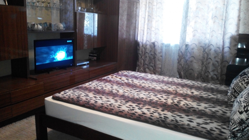 1-к квартира в центре на пр.Карла Маркса посуточно... #8