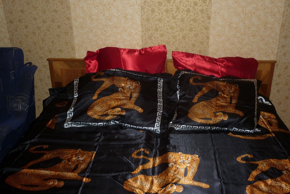 Уютная квартира посуточно возле метро Спортивная #2