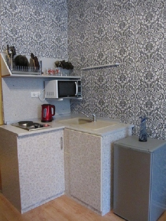 1 комнатная квартира возле ст.м.Пушкинская #3