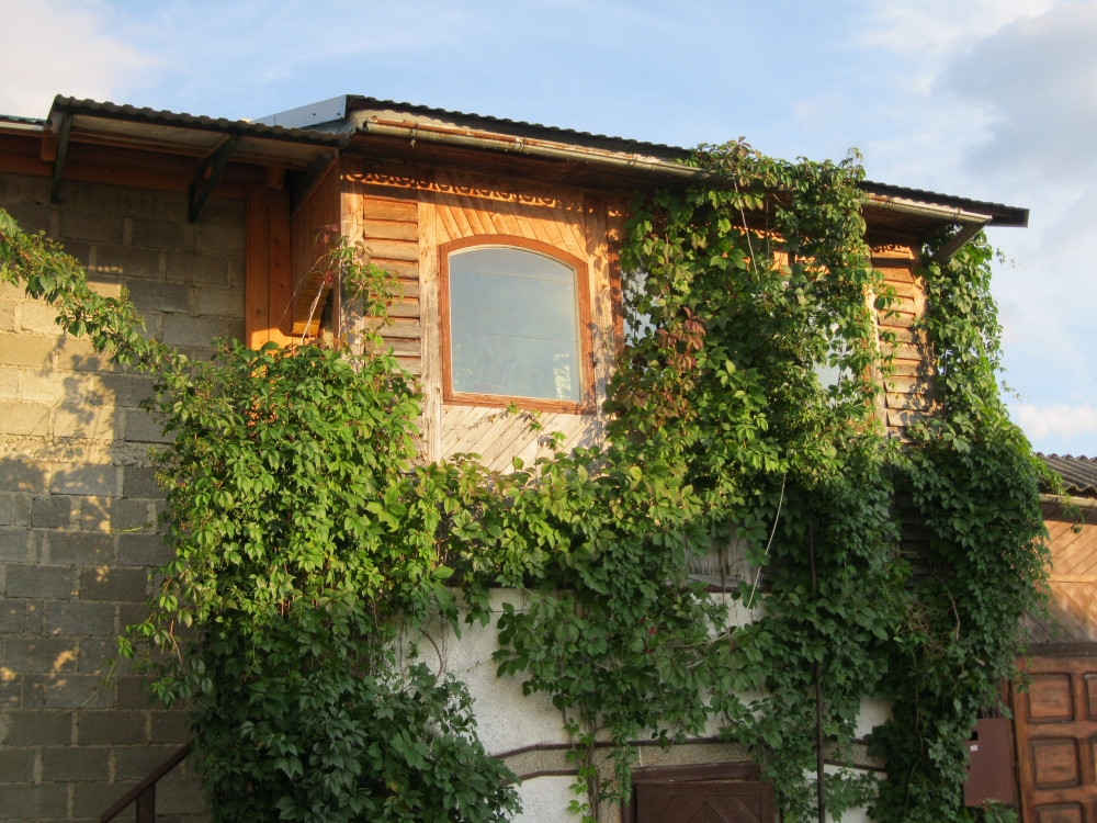 Однокомнатная квартира #2