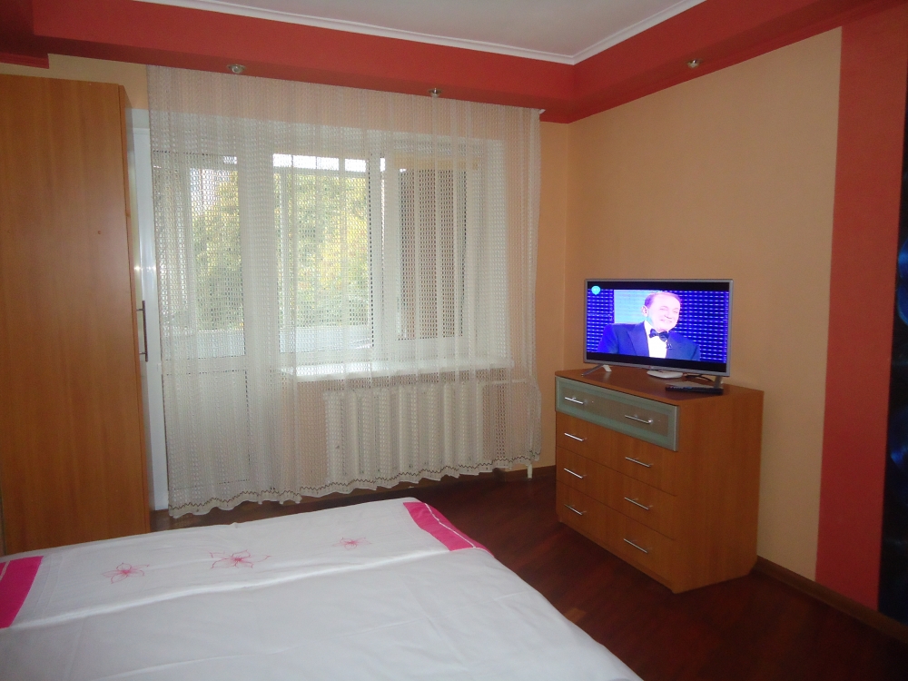 стильная квартира на КПИ #4