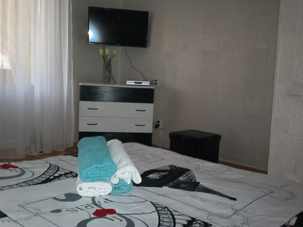 Квартира посуточно в центре Киева метро Олимпийска... #6