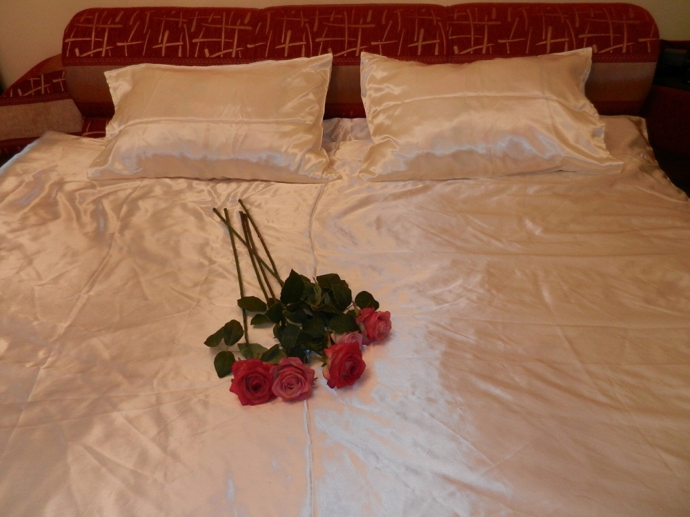 Квартира посуточно в центре Киева метро Площадь Ль... #6