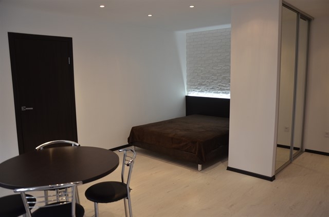 Квартира ЛЮКС ПОСУТОЧНО в центре Кривого Рога #8