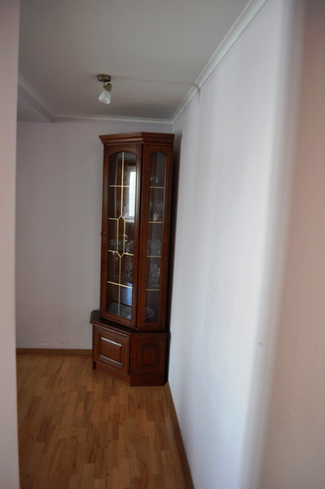 Просторная трехкомнатная квартира #4