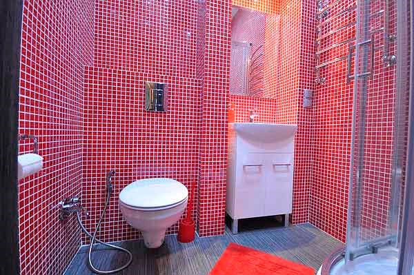 Квартира Люкс с 2 спальнями #4