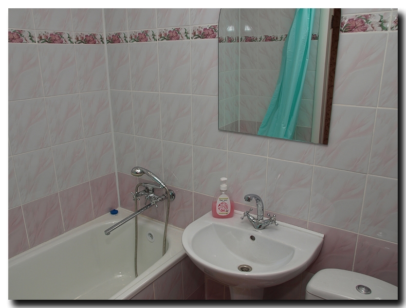 Однокомнатная квартира в центре города #5