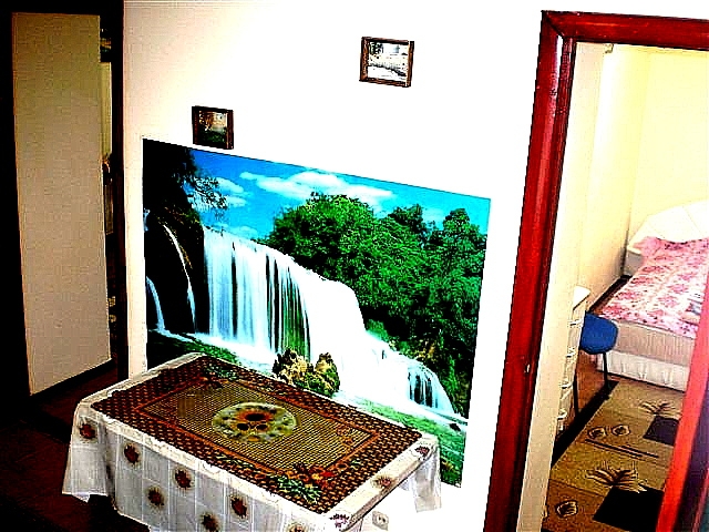 2х комнатная квартира посуточно в Николаеве #4