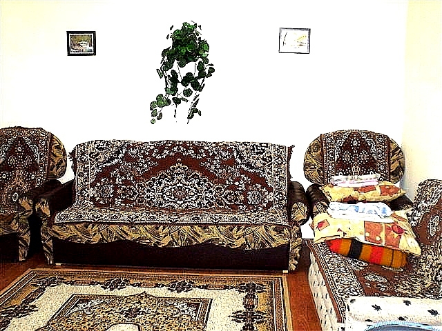 2х комнатная квартира посуточно в Николаеве #7