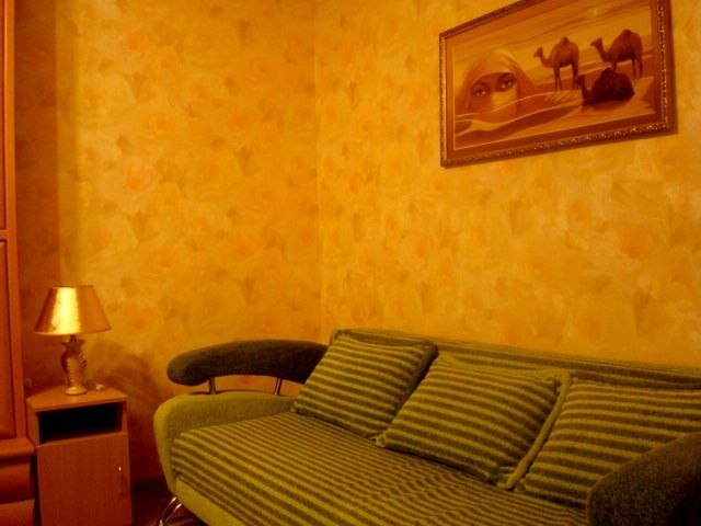 1 комн. апартаменты с Wi-Fi и всем необходимым #4