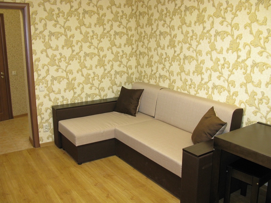 Посуточно 2-комнатная квартира Печерск #8