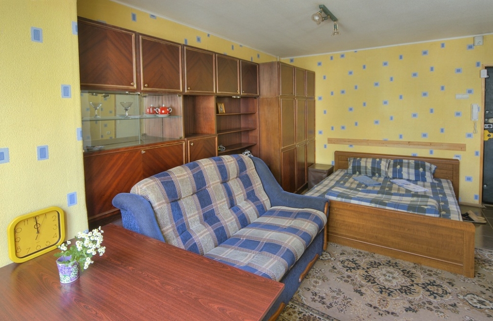 Посуточно 1-комнатная квартира #5