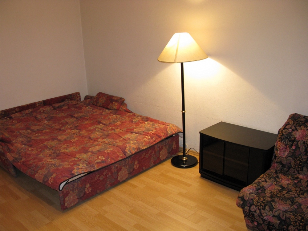 Посуточно 1-комнатная квартира #7