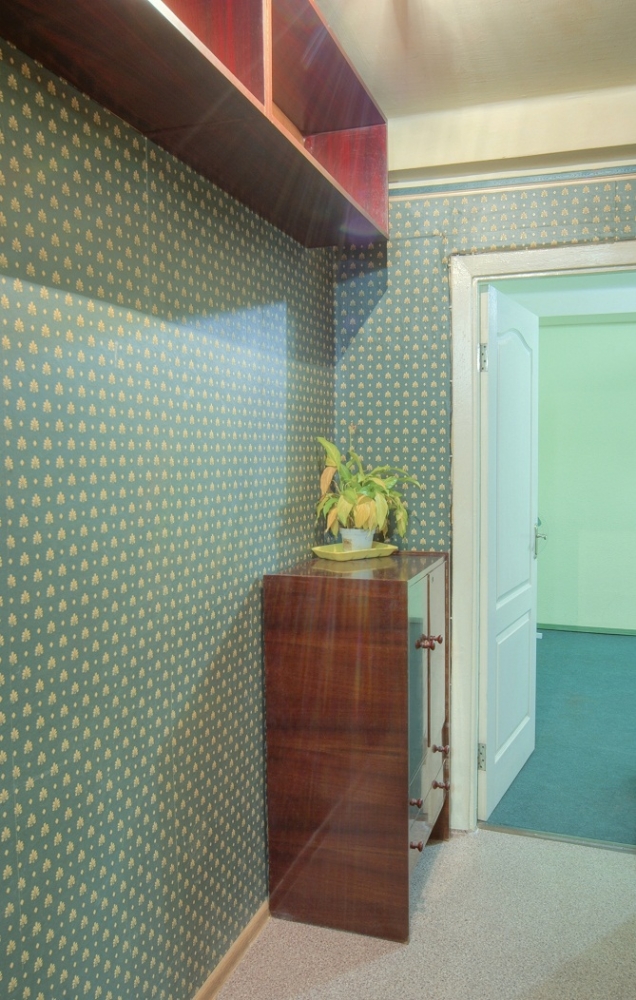 Посуточно 1-комнатная квартира #4