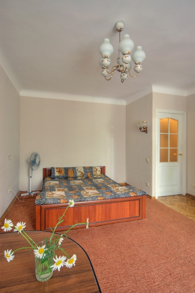 Посуточно 1-комнатная квартира #5