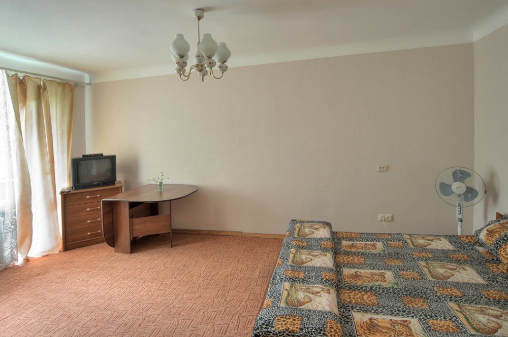 Посуточно 1-комнатная квартира #6