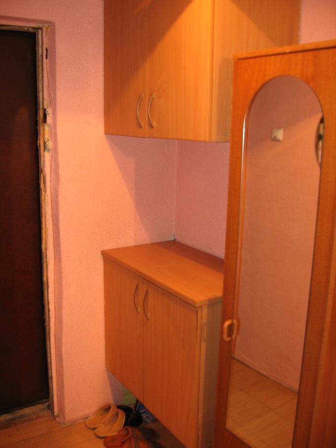 Посуточно 1-комнатная квартира #5