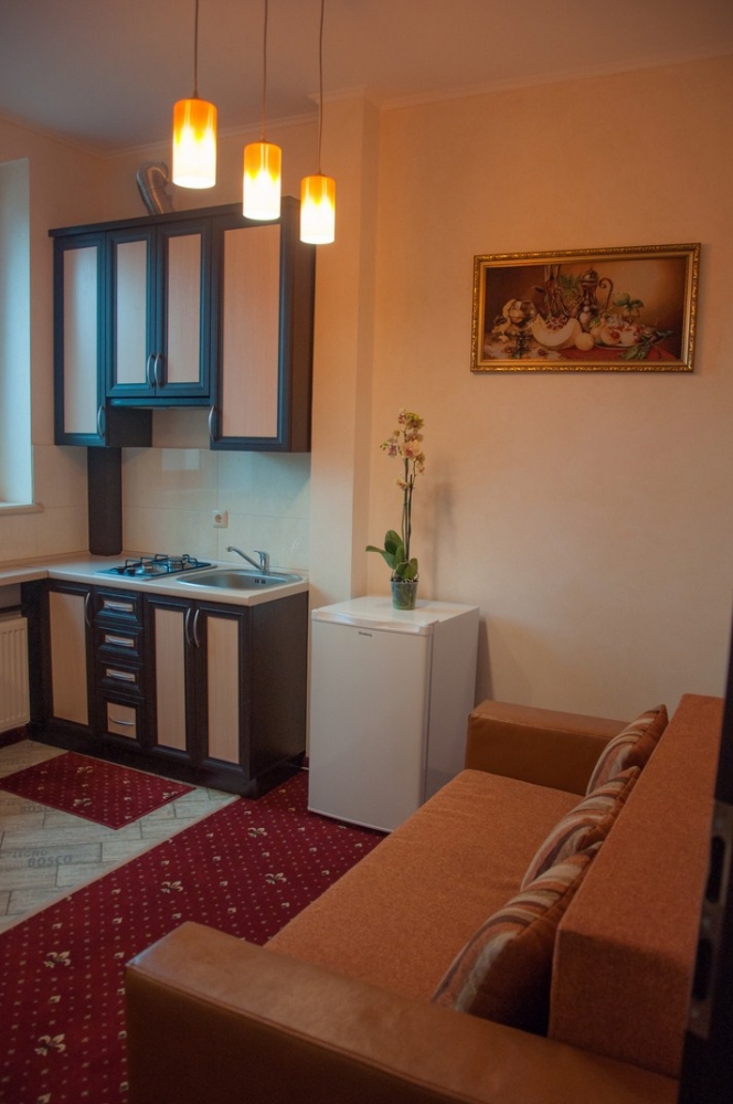 Здаються подобово 1-кімнатні апартаменти класу 