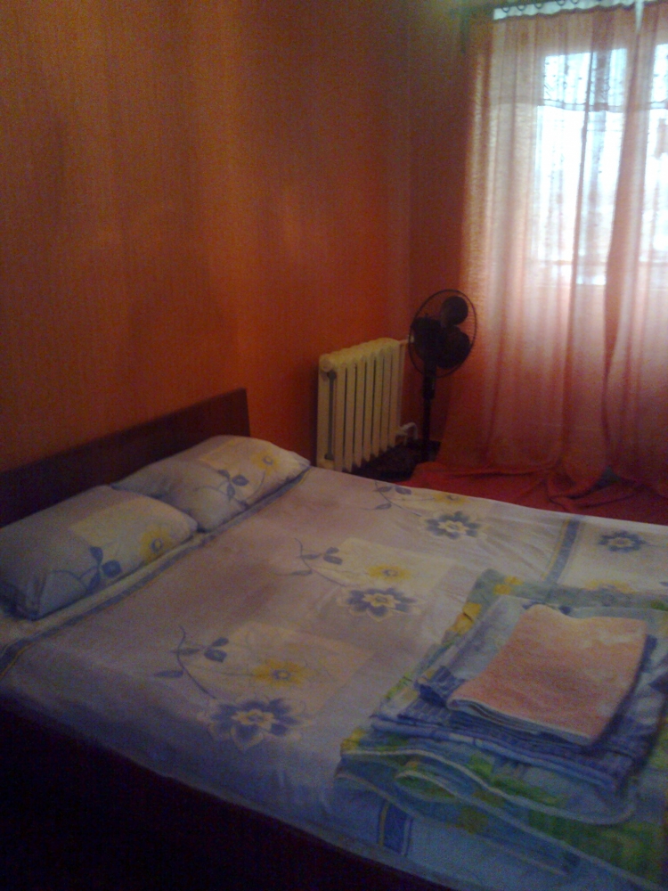 Квартира посуточно #2