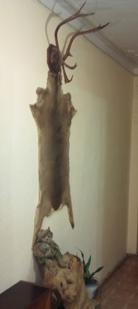 Возле Спорт Центра, Погранакадемии, стадиона Подол... #5