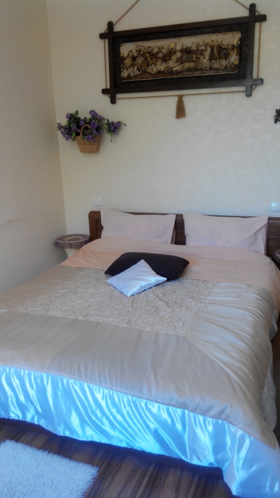 2-х ком. квартира с декоративным камином СУПЕРЦЕНТ... #5