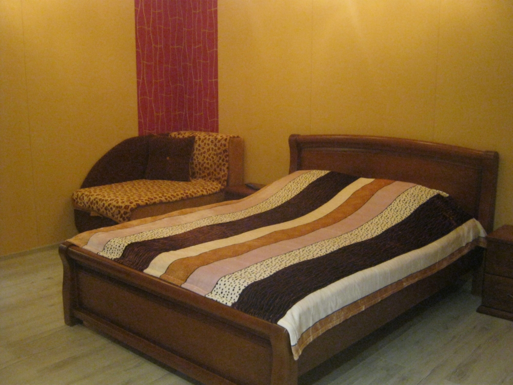 1-комнатная квартира посуточно в Житомире #4