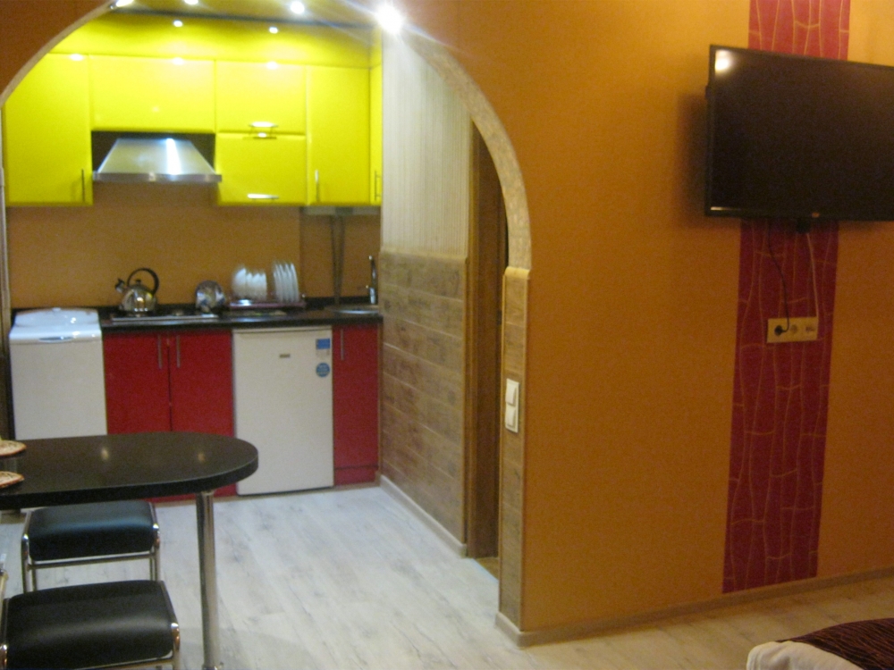 1-комнатная квартира посуточно в Житомире #5