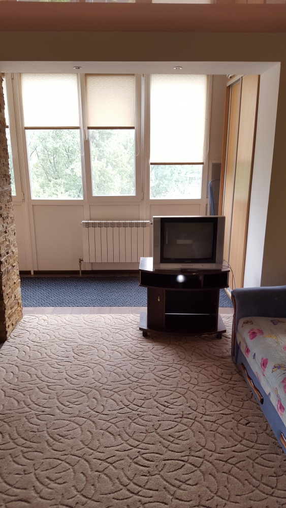 Отличная квартира на Лесном массиве #4