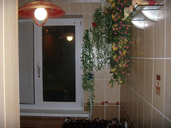 Однокомнатная возле ТЦ Квадрат, Левобережная #2