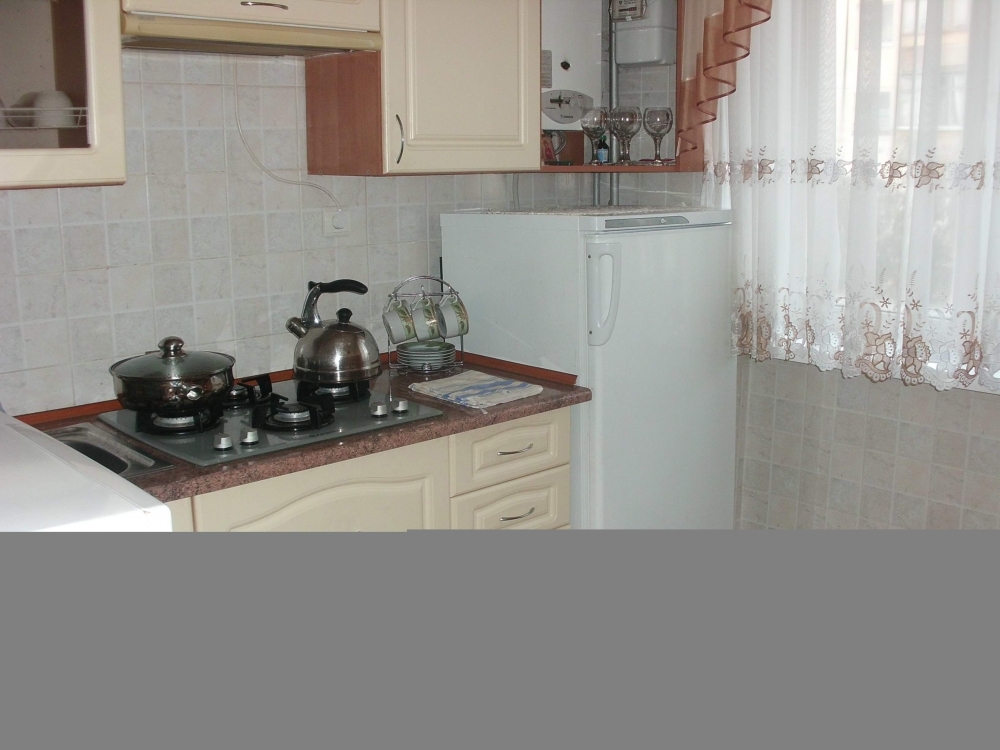 Квартира в центре Трускавца, стиральная машина, Wi... #4