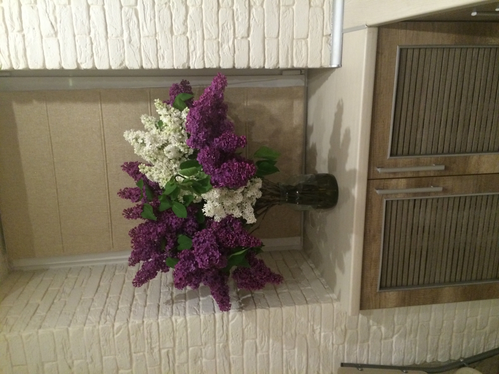 1 комнатная квартира-студия 