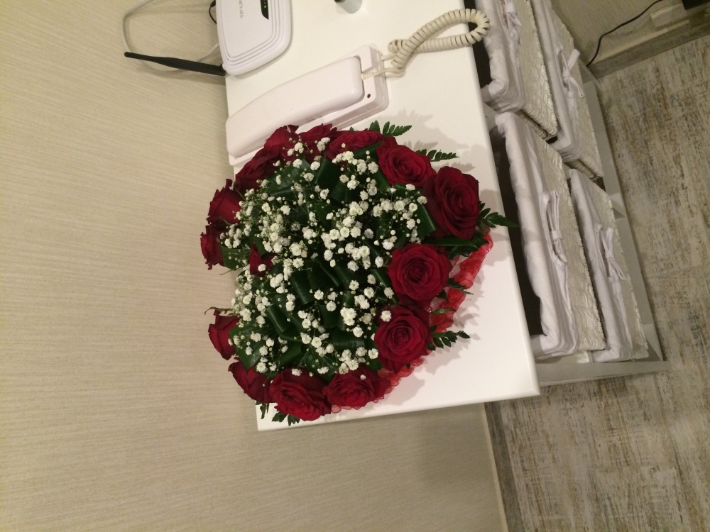 1 комнатная квартира-студия 