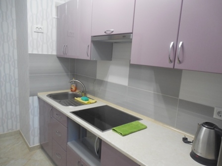 Однокомнатная квартира в центре Трускавца #4