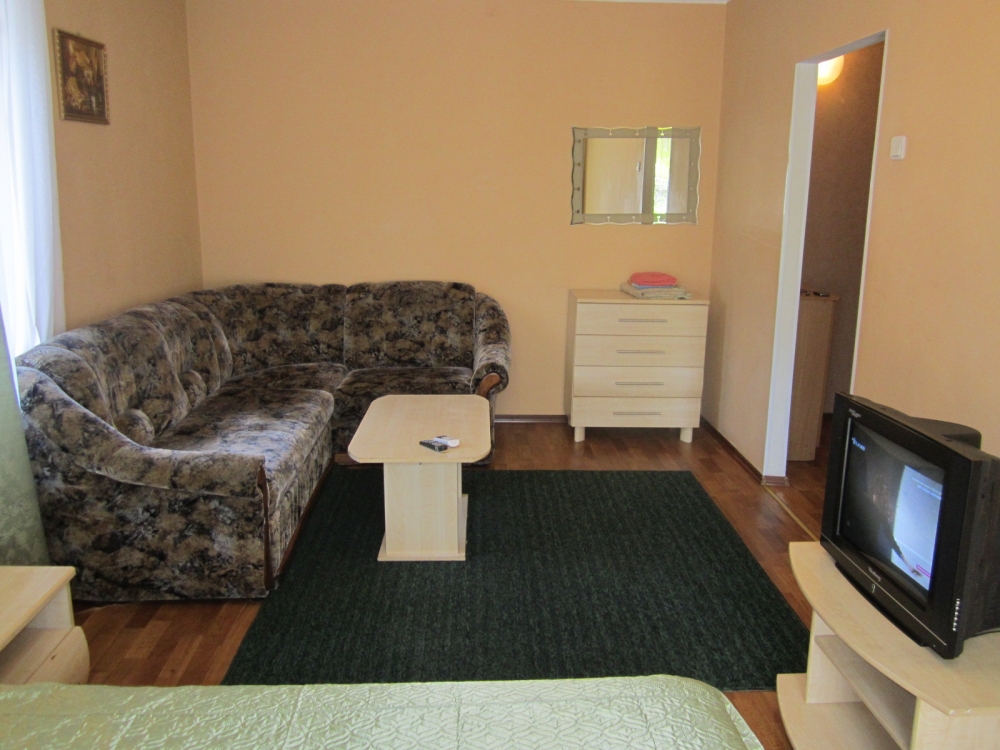 1-комнатная квартира посуточно, почасово в центре... #8