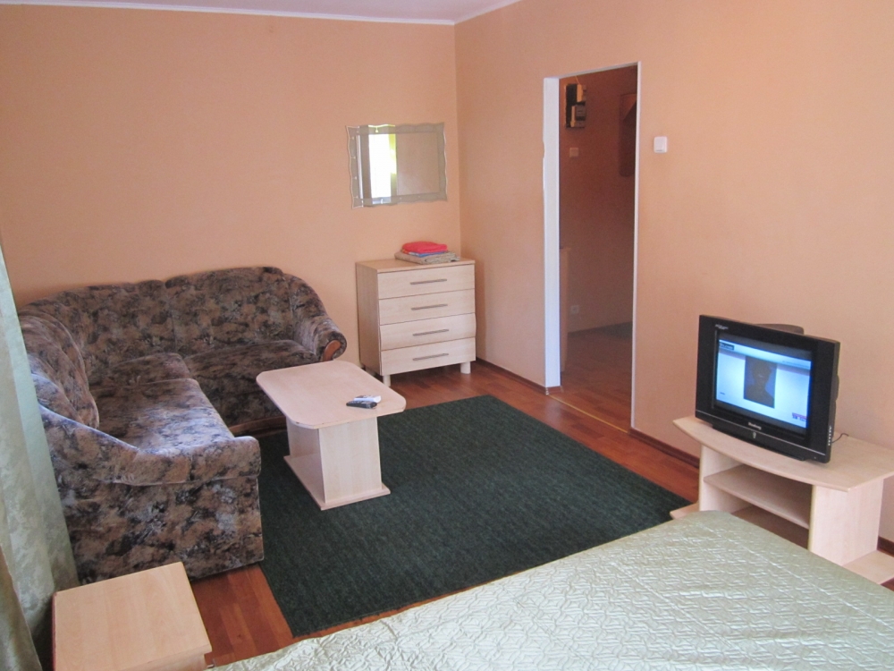 1-комнатная квартира посуточно, почасово в центре... #9