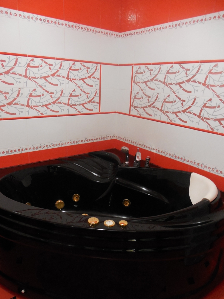 VIP-квартира з джакузі у центрі Трускавця #9