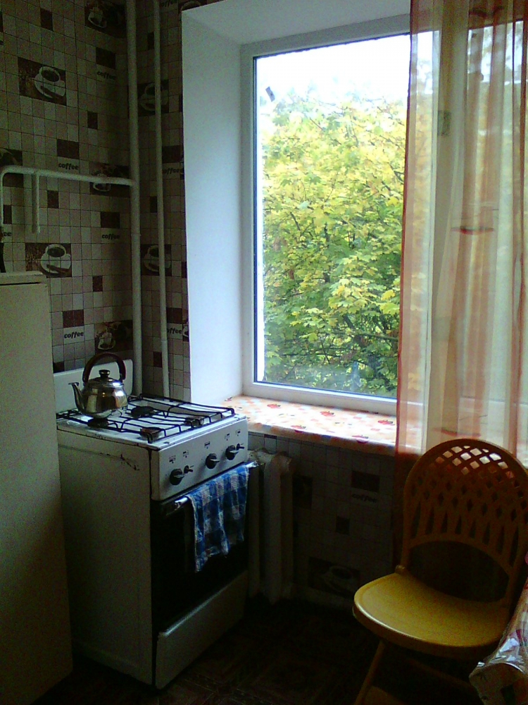 квартира посуточно эконом-вариант #3