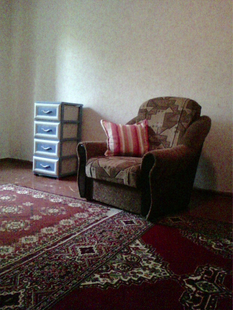 квартира посуточно эконом-вариант #4