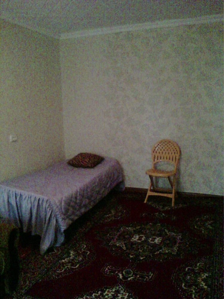 квартира посуточно эконом-вариант #6