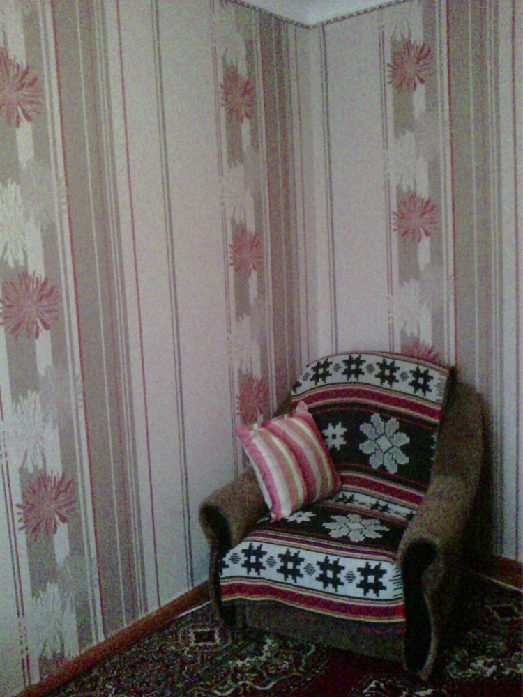 квартира посуточно эконом-вариант #7