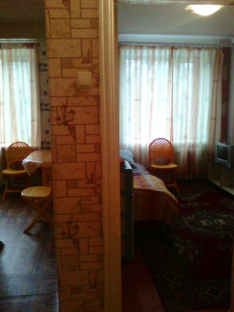 квартира посуточно эконом-вариант #8