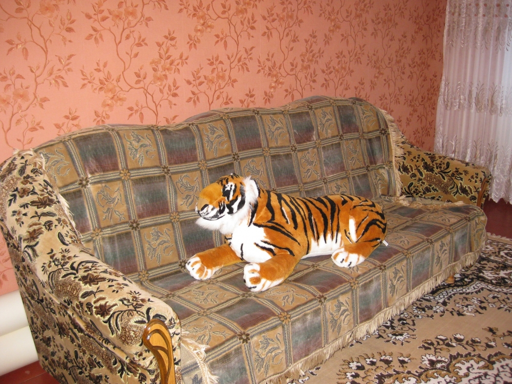 2-х Посуточно от Собственника #3