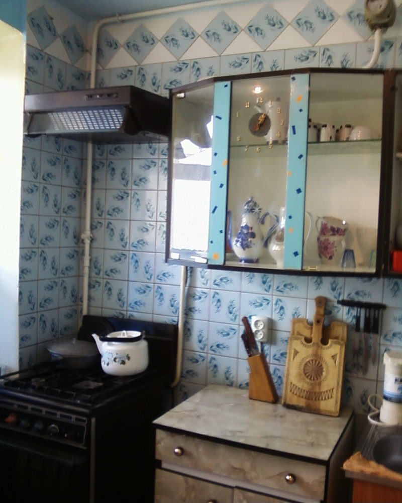 Уютная двухкомнатная квартира посуточно #2