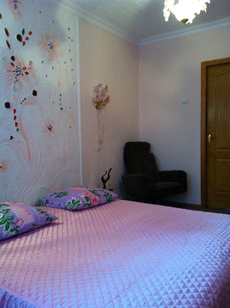 Квартира почасово, посуточно #3