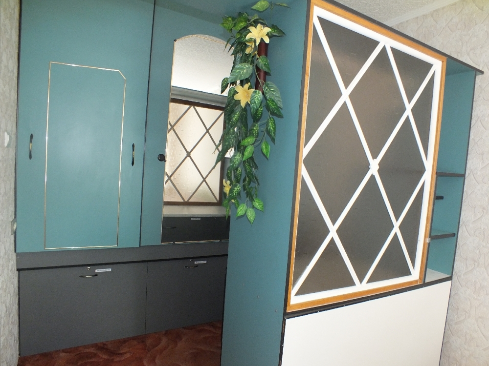 2-х кімнатна, Центр, євро #9