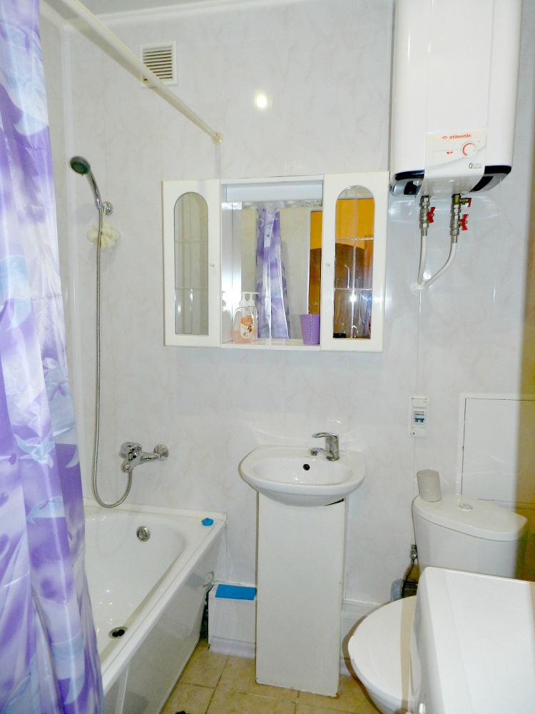 Однокомнатная квартира в Кривом Роге #3