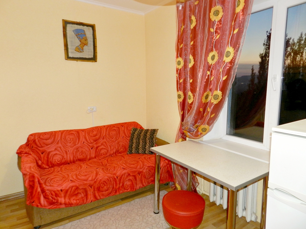 Однокомнатная квартира в Кривом Роге #5